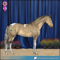 Horse Color:Silver Buckskin Dun Tobiano 
