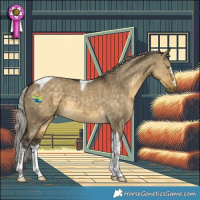 Horse Color:Silver Buckskin Dun Tobiano 