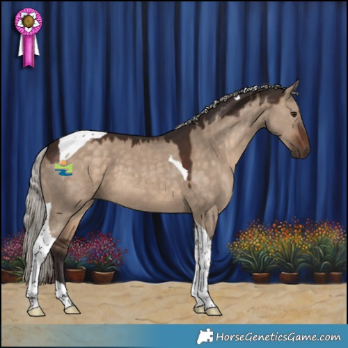 Horse Color:Silver Brown Dun Tobiano