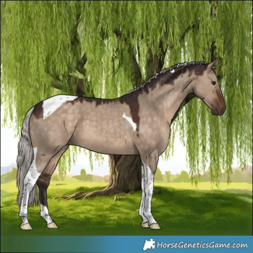 Horse Color:Silver Brown Dun Tobiano