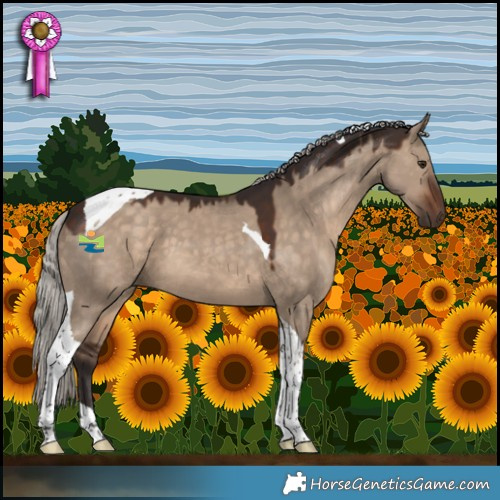 Horse Color:Silver Brown Dun Tobiano 