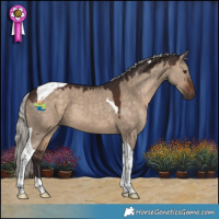 Horse Color:Silver Brown Dun Tobiano 