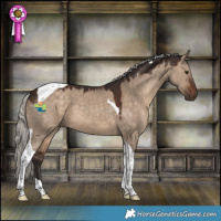 Horse Color:Silver Brown Dun Tobiano 