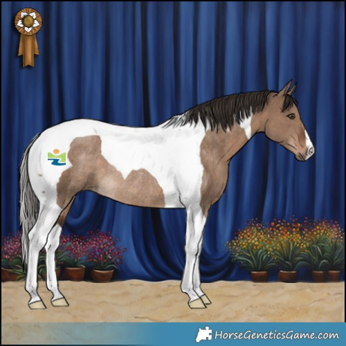 Horse Color:Liver Red Dun Tobiano Rabicano 