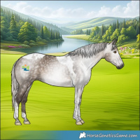 Horse Color:Gray Silver Grullo Tobiano Rabicano 