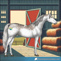 Horse Color:Gray Silver Brown Dun Splash Tobiano Snowflake Varnish Rabicano 