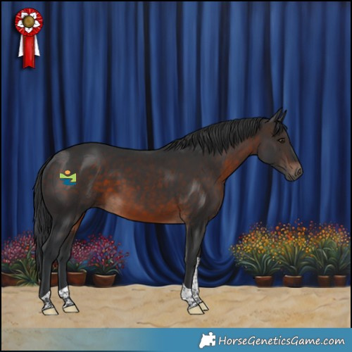 Horse Color:Brown Tobiano 