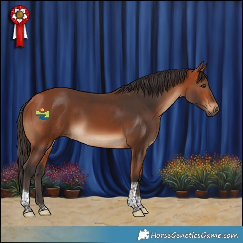 Horse Color:Bay Tobiano