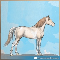 Horse Color:Silver Amber Champagne Pearl Dun Tobiano Varnish Rabicano and Gold Champagne Pearl Dun Tobiano Varnish Rabicano