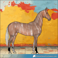 Horse Color:Silver Bay Ice Rabicano 