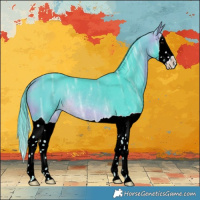 Horse Color:Watercolor Buckskin Ice Splash Rabicano 