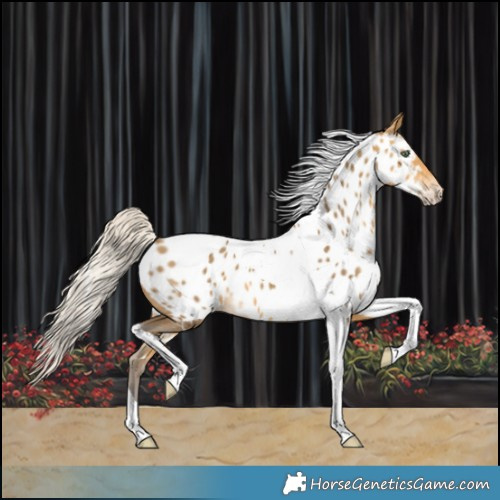 Horse Color:Silver Sable Cream Champagne Tobiano Near Leopard 