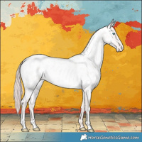 Horse Color:Smoky Creme Roan Blanket