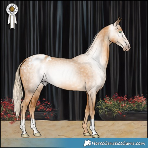Horse Color:Gray Gold Cream Champagne Blanket 