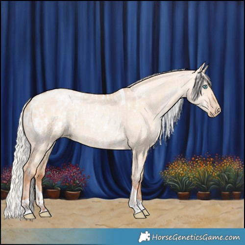 Horse Color:Silver Amber Champagne Pearl Dun Tobiano Blanket Rabicano  and Silver Amber Champagne Pearl Dun Tobiano Rabicano 