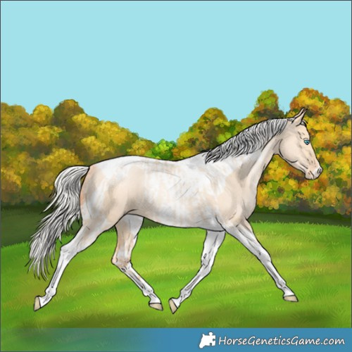 Horse Color:Silver Amber Champagne Pearl Dun Tobiano Appaloosa Rabicano  and Silver Amber Champagne Pearl Dun Tobiano Appaloosa Rabicano 