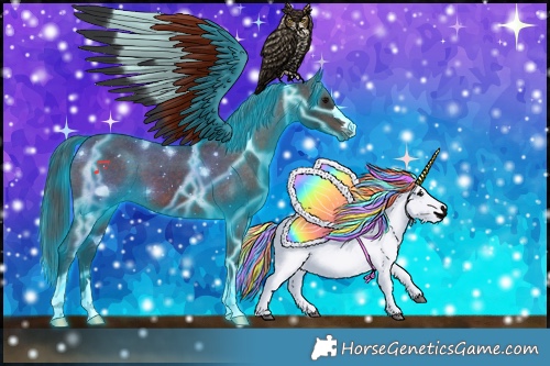 Horse Color:Thunderstruck Brown Appaloosa 