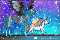 Horse Color:Thunderstruck Brown Appaloosa 
