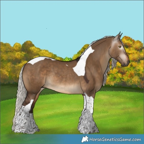 Horse Color:Gray Silver Bay Dun Tobiano Rabicano