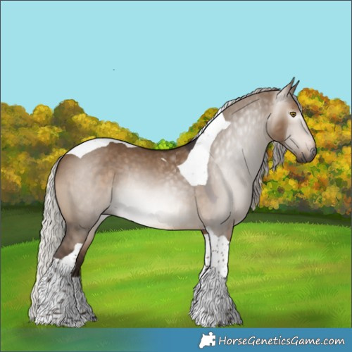 Horse Color:Gray Silver Bay Dun Tobiano Rabicano 