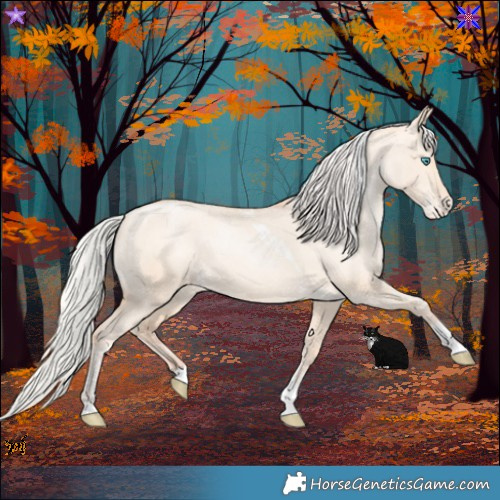 Horse Color:Silver Amber Champagne Pearl Dun Tobiano Varnish Rabicano  and Silver Amber Champagne Pearl Dun Tobiano Varnish Rabicano 