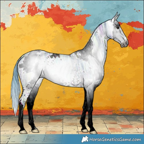 Horse Color:Gray Watercolor White Spotted Bay Ice Splash 