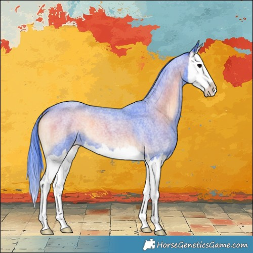 Horse Color:Watercolor Blue Onyx Roan Splash 