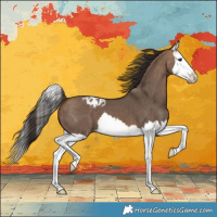 Horse Color:Bay Dun Splash Varnish 