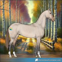 Horse Color:Bay Dun Varnish 