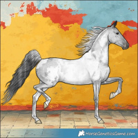 Horse Color:White Spotted Black 