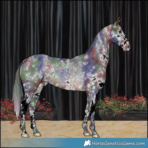 Horse Color:Nacre White Spotted Brown Splash Rabicano 