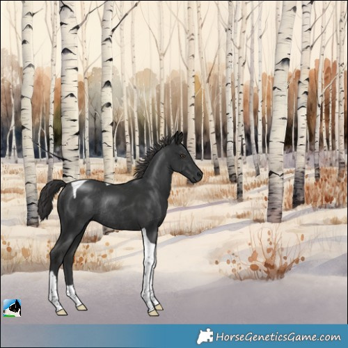 Horse Color:Platinum Liver Chestnut Tobiano Rabicano 