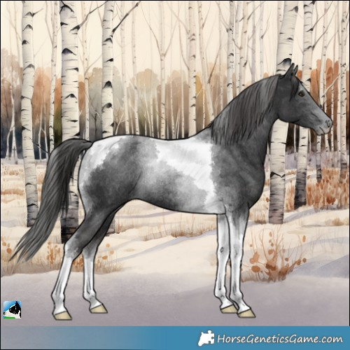 Horse Color:Platinum Liver Chestnut Tobiano Rabicano