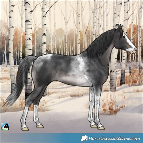 Horse Color:Platinum Brown Splash Tobiano Rabicano 