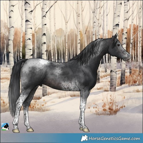Horse Color:Platinum Brown Tobiano 
