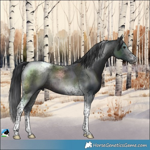 Horse Color:Platinum Brown Tobiano 