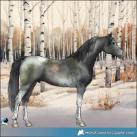 Horse Color:Platinum Brown Tobiano 
