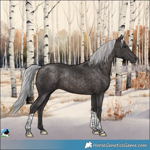 Horse Color:Platinum Silver Brown Tobiano Rabicano