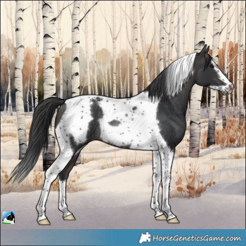 Horse Color:Platinum Brown Tobiano Frame Rabicano 