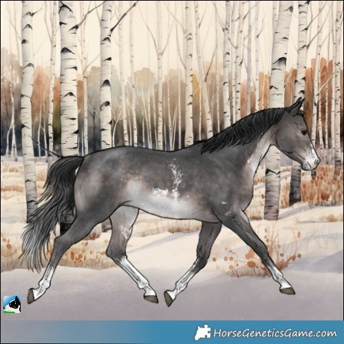 Horse Color:Platinum Brown Sabino Rabicano
