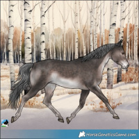 Horse Color:Platinum Liver Chestnut Mushroom Rabicano 