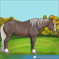 Horse Color:Silver Brown Ice 