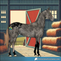 Horse Color:Void Gold Champagne Ice Dun Tobiano Blanket 