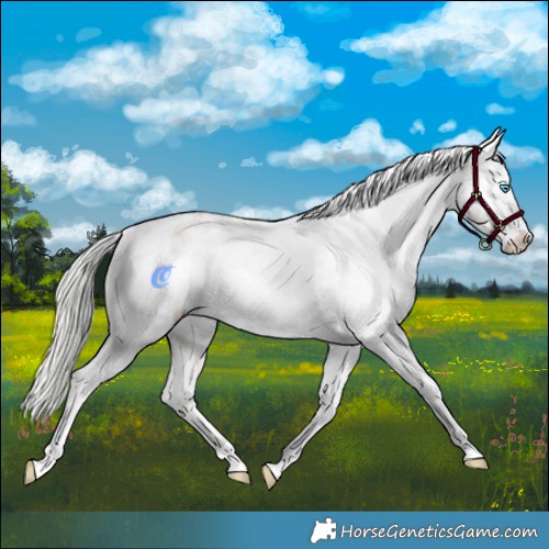 Horse Color:Silver Amber Champagne Pearl Dun Tobiano Varnish Rabicano and White Spotted Silver Amber Champagne Pearl Dun Tobiano Varnish Rabicano