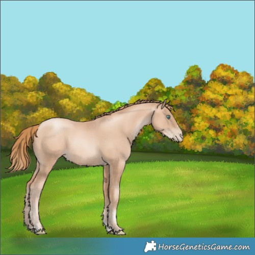 Horse Color:Gold Champagne Pearl 