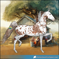 Horse Color:Chestnut Splash Skewed LP Spotted 