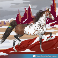 Horse Color:Bay Skewed LP Spotted