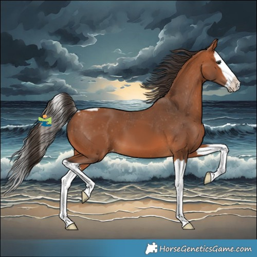 Horse Color:Bay Splash Skewed LP Spotted 