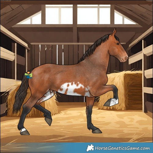 Horse Color:Bay Skewed LP Spotted 