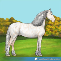 Horse Color:Silver Amber Champagne Pearl Dun Tobiano Appaloosa Rabicano and Silver Amber Champagne Pearl Dun Tobiano Appaloosa Rabicano